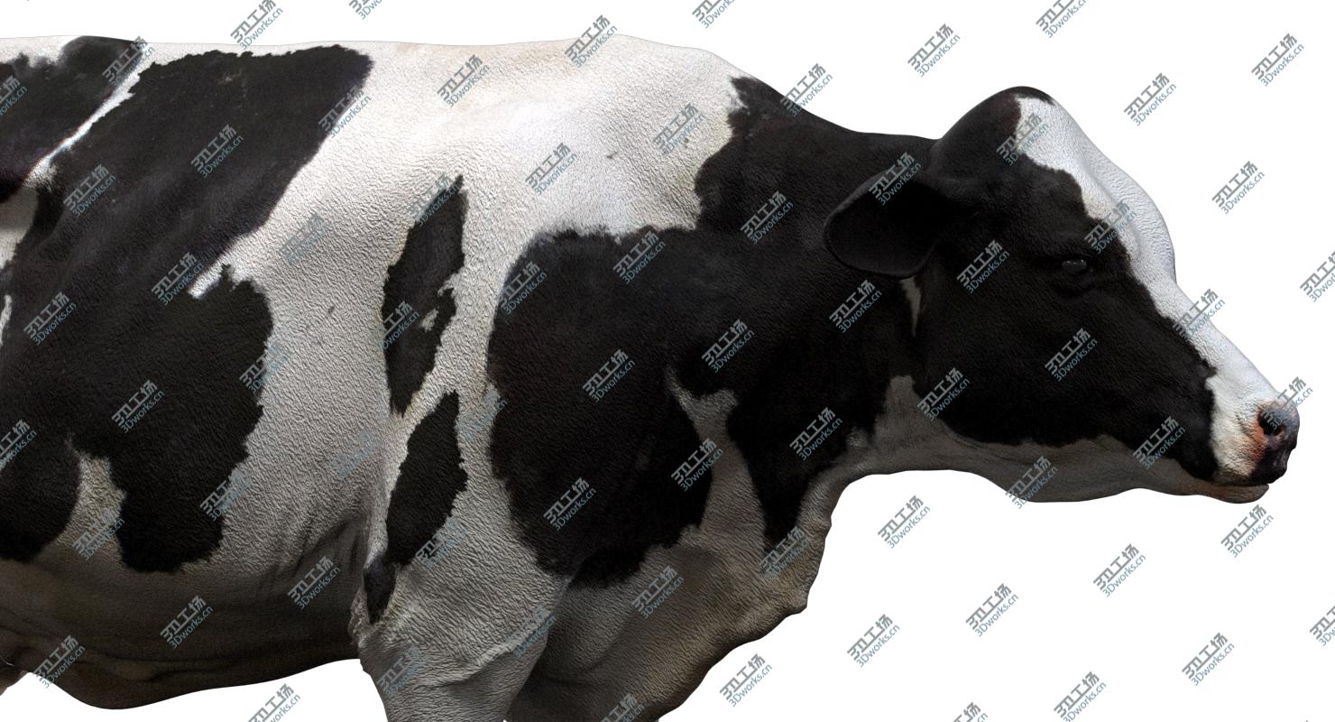 images/goods_img/20210313/Dairy Cow (NoFur) (Rigged) 3D model/4.jpg